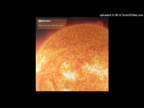 FREE AS THE MORNING SUN (FULL LENGTH VOCAL) / MR. HERMANO