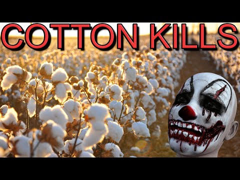 You'll Never Wear Cotton After Hearing This