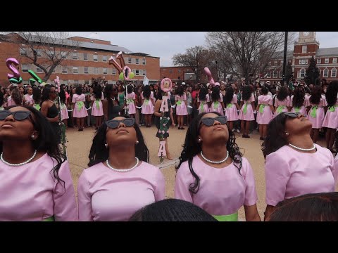 Howard University AKA Sorority, Inc. Alpha Chapter Probate | Spring '24