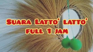 Download lagu Suara Latto' latto' Full 1 Jam mp3