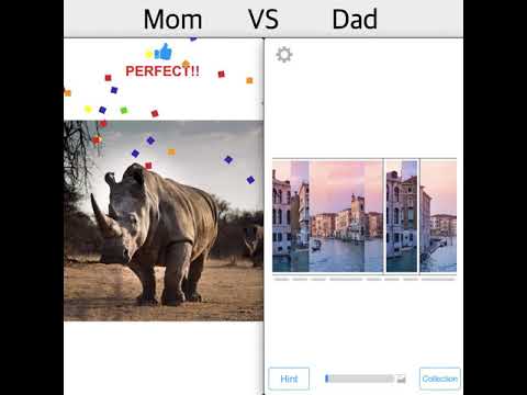 Shredded Puzzle Video