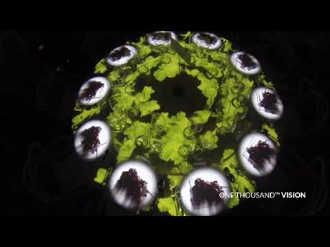 Cantine Pasqua Table Mapping - ONE THOUSAND™