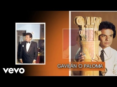 José José - Gavilán o Paloma (Cover Audio)