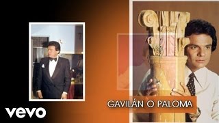 José José - Gavilán o Paloma (Cover Audio)