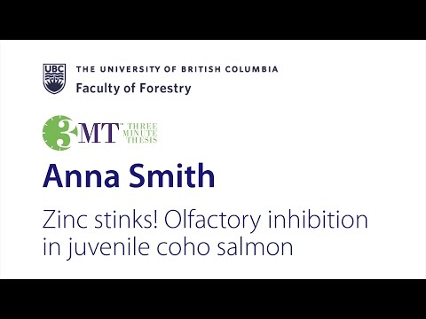 2017 Forestry 3 Minutes Thesis - “Zinc stinks! Olfactory inhibition in juvenile coho salmon”