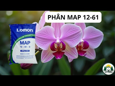 Video MAP 12-61 – Kích Hoa Đồng Loạt