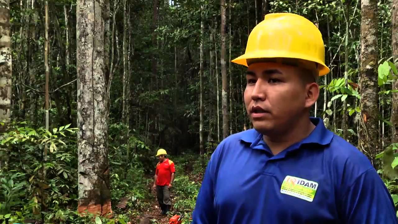 Amazônia Rural | Manejo Florestal Sustentável | Parte 1