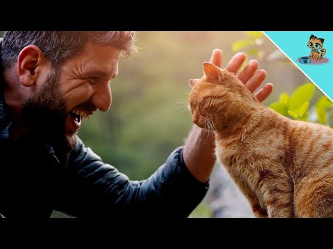 THAT'S Why Cats Are Good For YOUR Health! (UNBELIEVABLE) 🔥