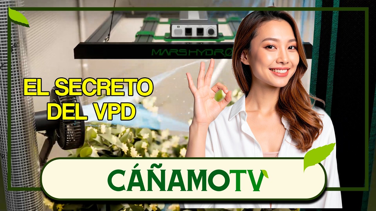 ¿POR QUÉ TUS PLANTAS NO ESTÁN CRECIENDO? 🤔 EL SECRETO DEL VPD ✍ Mars hydro 420