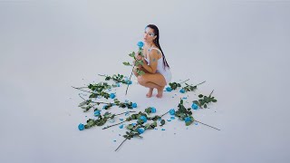 Cover art for Metaphor