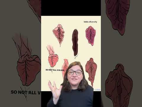 PSA: Labia Diversity