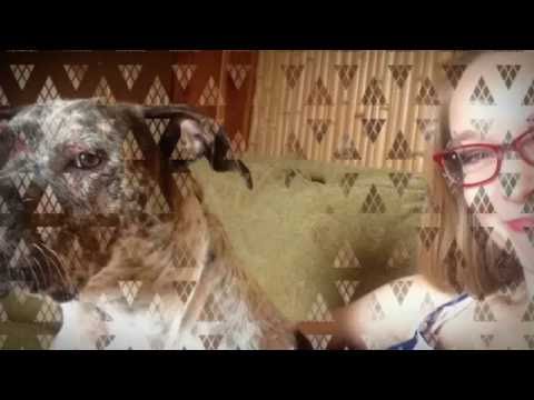 How To Reduce Stress - Forestville NY - Forestville Chiropractic