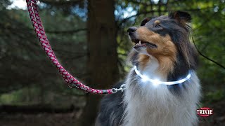 Reflexní šátek pro psa 29-42cm