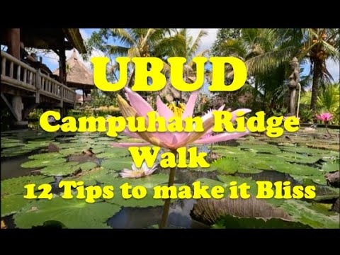 Campuhan Ridge Walk, Ubud, Bali: 12 Tips to Make the Walk Awesome