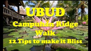 Campuhan Ridge Walk, Ubud, Bali: 12 Tips to Make the Walk Awesome #campuhanwalk #ubudwalks