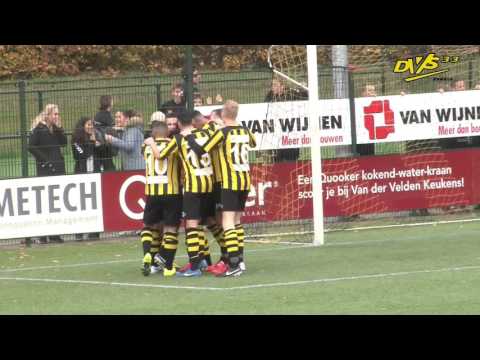 Samenvatting DVS'33 Ermelo - IJsselmeervogels