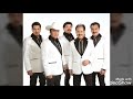 La loba los tigres del norte