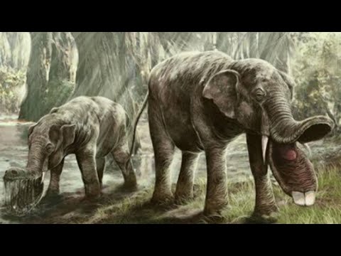 10 Nightmarish Animals You Will Be Happy Are Extinct