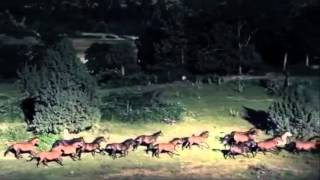 Kitaro   Jon Anderson   İsland of Life