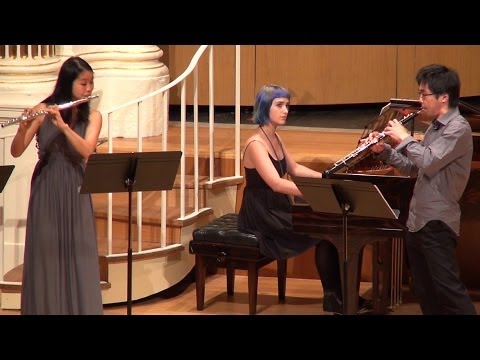 Jules Demersseman - William Tell Duo Brillant - The Academy of Chamber Music Performance