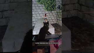 Playing Tomb Raider from 1996 #trending #kitten #catvideos #funny #cutecat #pets #cute #cat #fyp #fy