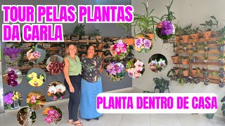 A GARAGEM VIROU UM ORQUIDÁRIO! TOUR PELAS PLANTAS DA CARLA: FOLHAGENS E ORQUÍDEAS | DICA IMPERDÍVEL