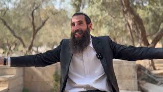 שיעור מיוחד ללומדי הדף היומי - מהו המקום הכשר להקמת מזבח | הרב אלישע וולפסון  (ישיבת הר הבית) - התמונה מוצגת ישירות מתוך אתר האינטרנט יוטיוב. זכויות היוצרים בתמונה שייכות ליוצרה. קישור קרדיט למקור התוכן נמצא בתוך דף הסרטון