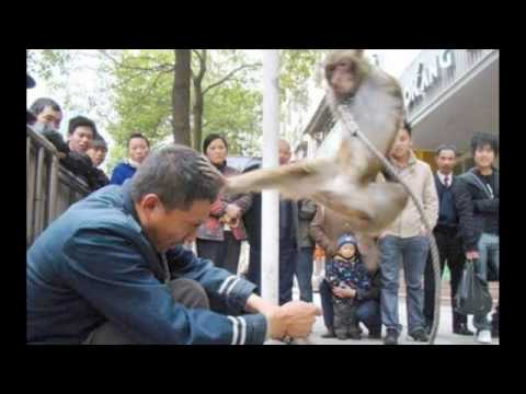 Ski Beatz "24 Hour Karate School" feat. Mos Def