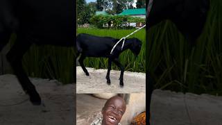 Download lagu time for new curriculum #funny mp3
