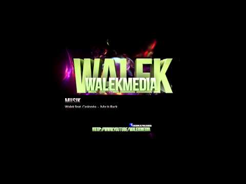Walek [Chaze] & Casiopèa - hAx Track