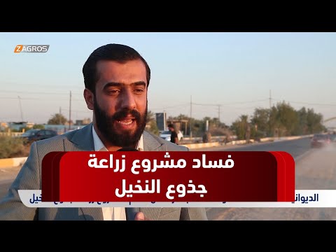 فيديو | الديوانية.. انتقادات حادة واتهامات بهدر المال العام لمشروع زراعة جذوع النخيل
