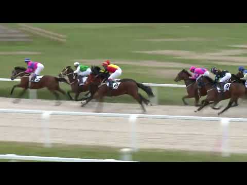 2022.10.02. 01. futam - NYERETLEN KÉTÉVESEK VERSENYE (IV.kat.) I.rész (szintetikus pálya)