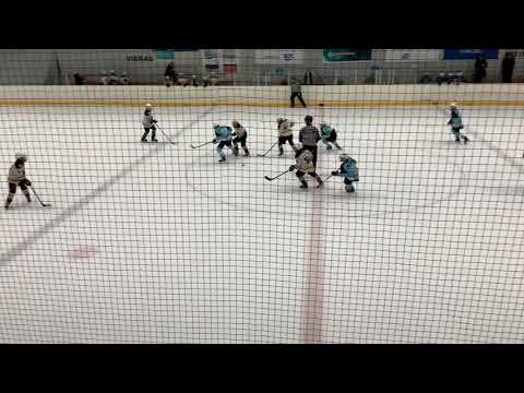 Pelicans Turkoosi 1 AAA - Ilves Rangers 10.11.19 3. Erä Laune