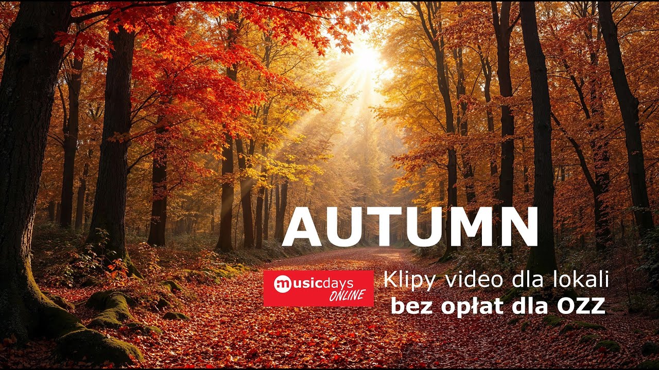YouTube - AUTUMN