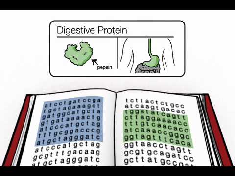 What is Genomics - Chapter 1