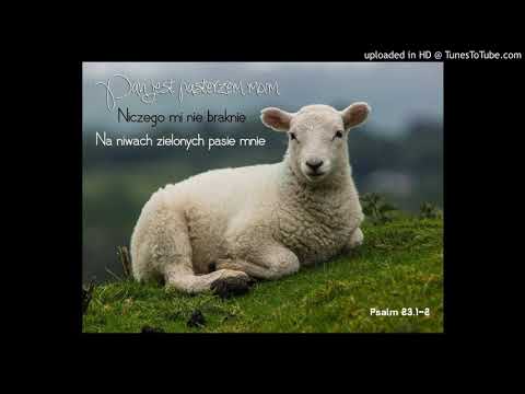 Piosenka o Dobrym Pasterzu (cover)