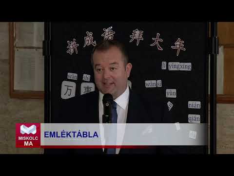 Videó előnézet