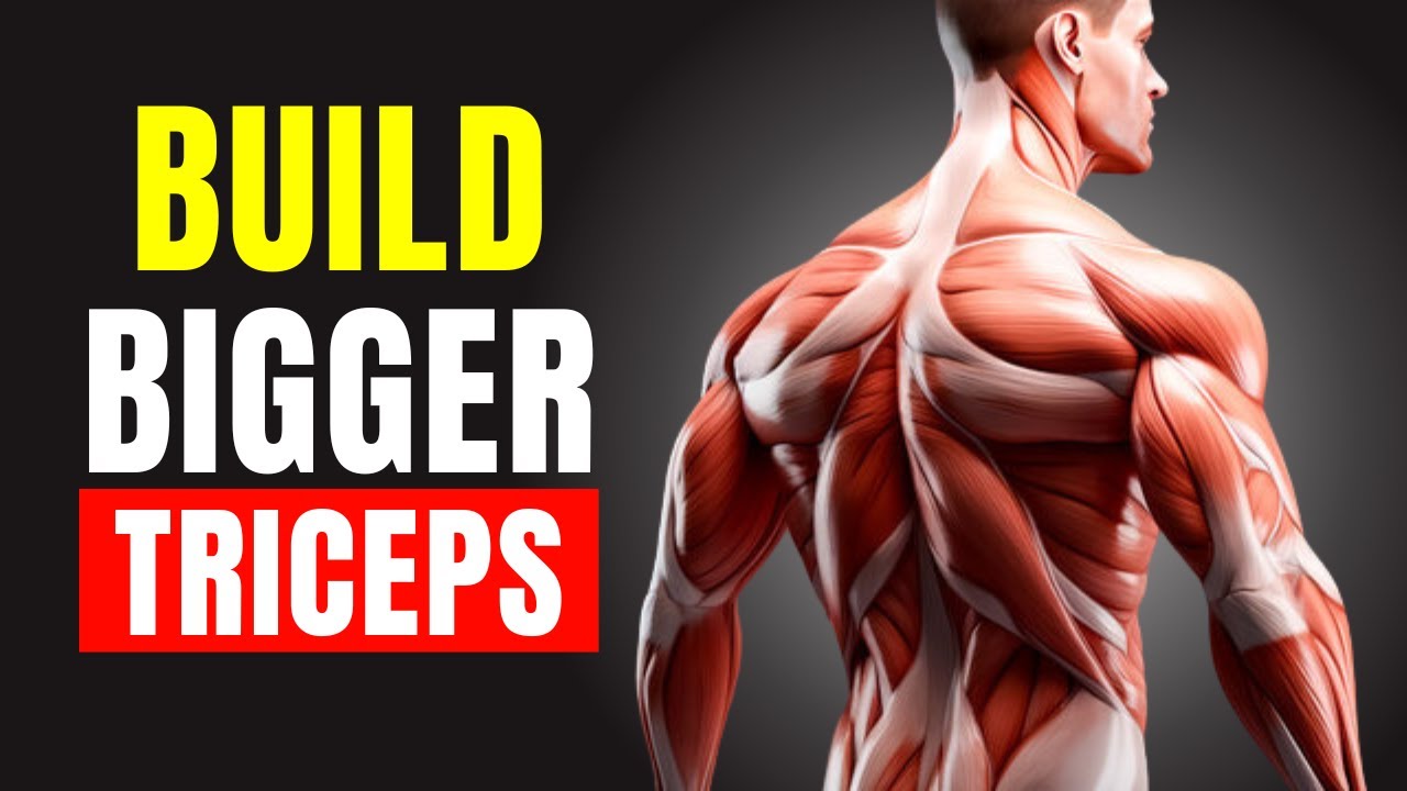 The ONLY 3 Triceps Exercises You Need for Mass