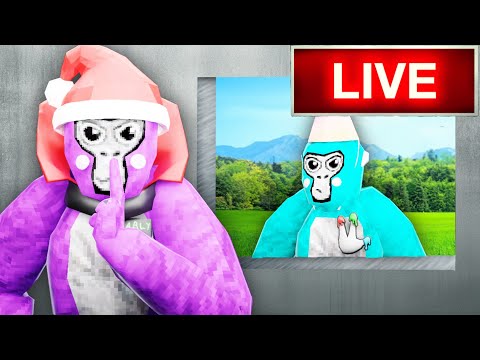 Sneaking into Gorilla Tag Live Streams!