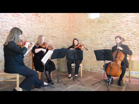 A Thousand Years - Vyne String Quartet
