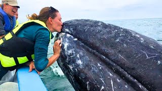8 Whale Encounters That'll Brighten Your Day