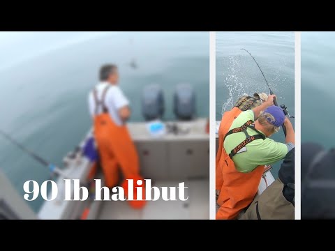 Shooting a Halibut + Processing Fish