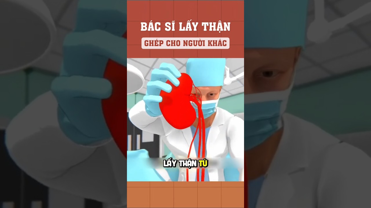 Bác sĩ lấy thận ghép cho người khác