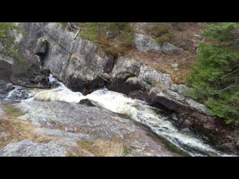 Gerhard's World....!!!