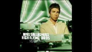 Noel Gallagher's High Flying Birds - The Dying of the Light (Demo / Unreleased Soundcheck)