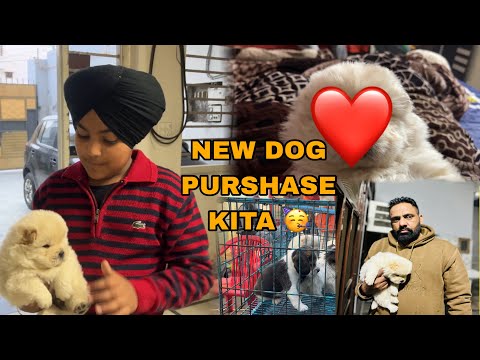 FINALLY NEW DOG PURCHASE KRALA 🥳 DADDY NU BHOUT OKHA MANEYA DOG LE 🥵JASHAN JAGROAN 