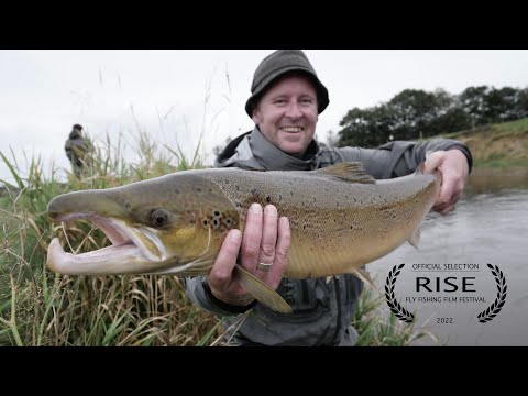 Lachs Fliegenfischen in Dänemark