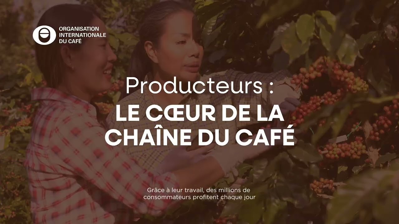 Le Café Fait Partie de la Solution | Construire la Prospérité par la Collaboration