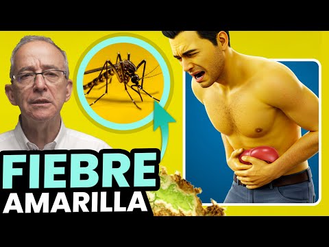 🟡 LA FIEBRE AMARILLA NOS AZOTA - Oswaldo Restrepo RSC
