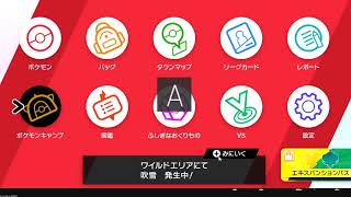 声なし・テスト配信【ポケモン剣盾】